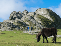 Dartmoor National Park Authority to launch new charity to protect moor