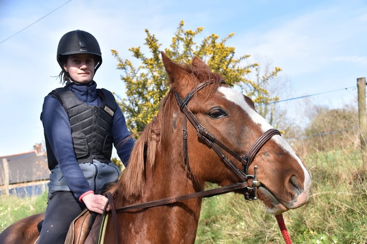 Horse