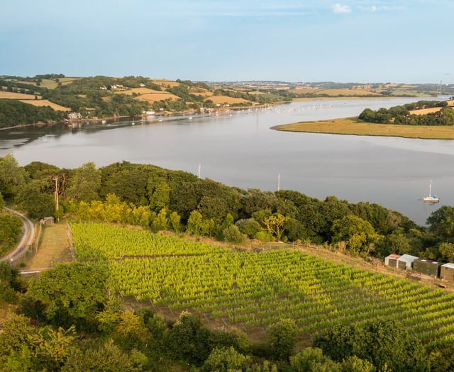 Tamar Valley Vineyard wins award