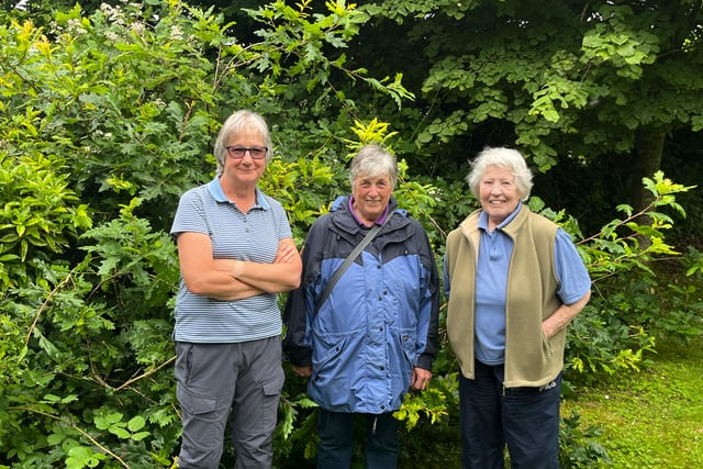 Dousland supports making garden a community space
