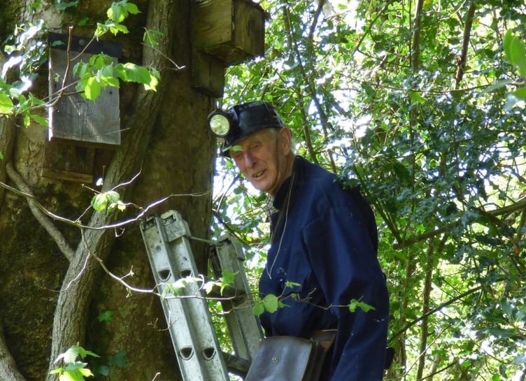 Tony Atkinson inspecting bat boxes