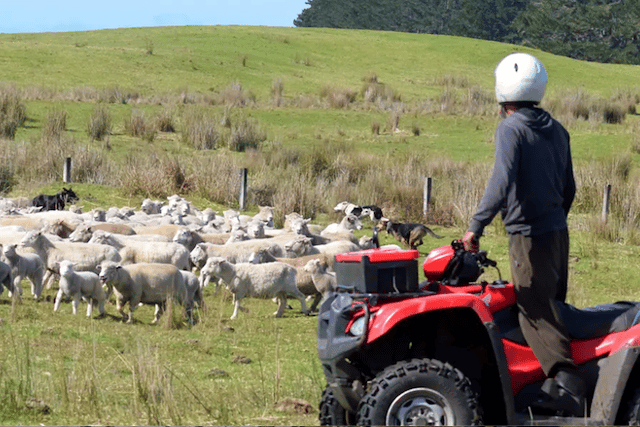 Police warn of rural thefts