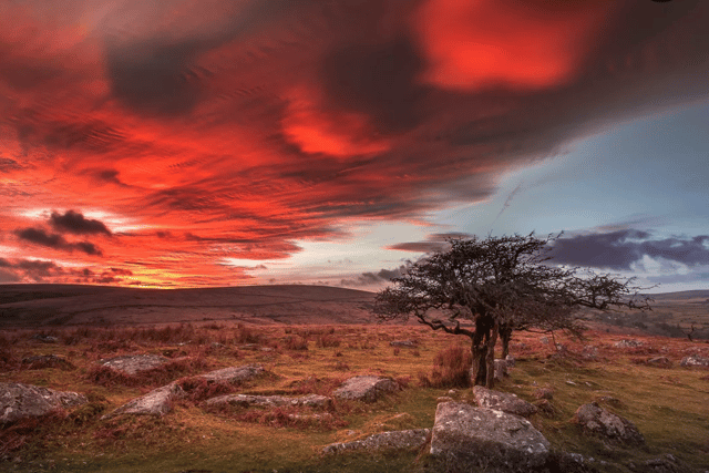 Over £3 million awarded towards restoring Dartmoor's nature