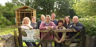 New allotments for Milton Abbot