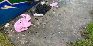 Call to report Callington skatepark vandalism