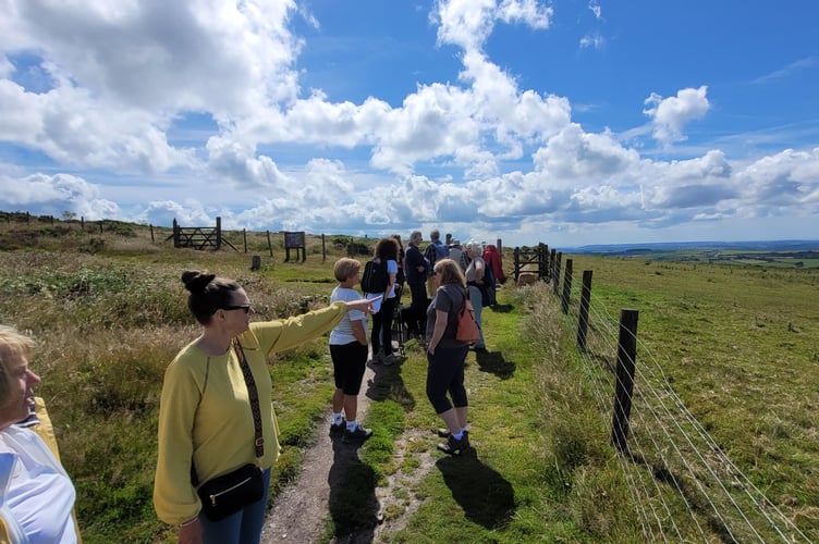 Celebrating 15 years of Tamar Valley Walks for Health