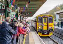 Rail services disrupted after diesel spill blocks track after train and deer crash