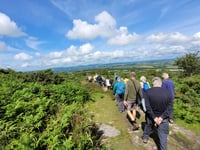 Celebrating 15 years of Tamar Valley Walks for Health