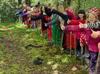 Branching outside at school