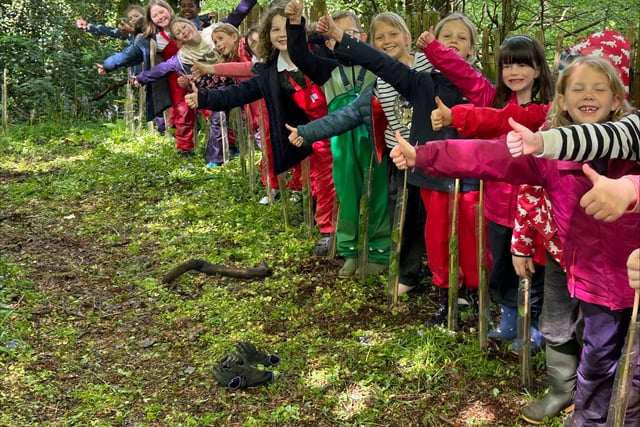 Branching outside at school