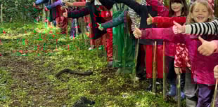 Branching outside at school