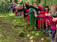 Branching outside at school