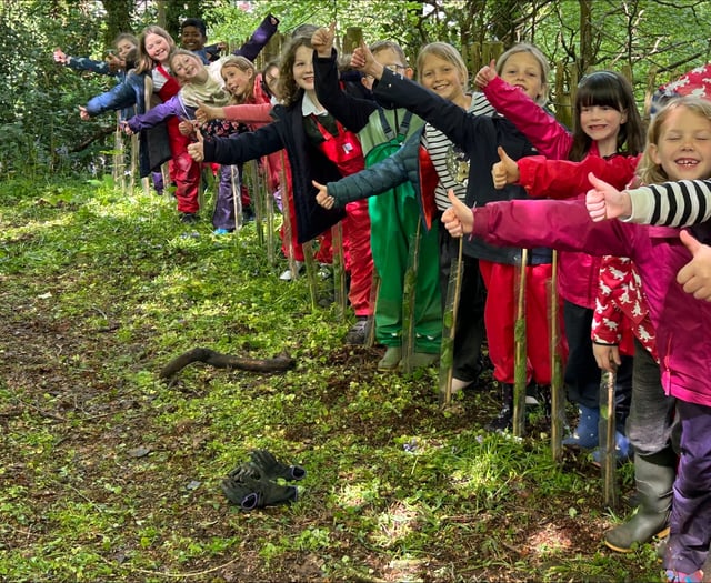 Branching outside at school