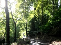 John Howells: Back to nature