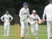 Varying results for Tavistock CC