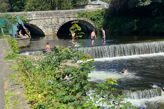 Keeping cool in the heatwave