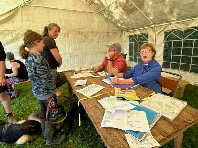 Judith Blowey, Gulworthy parish priest, helping out at the village summer fete.