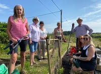 Garden needs more community diggers