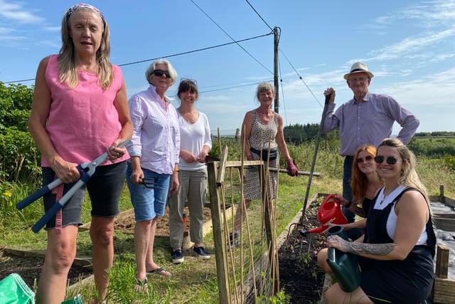 Garden needs more community diggers