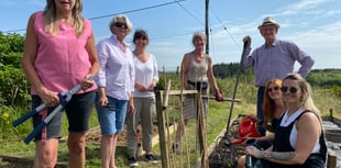 Garden needs more community diggers