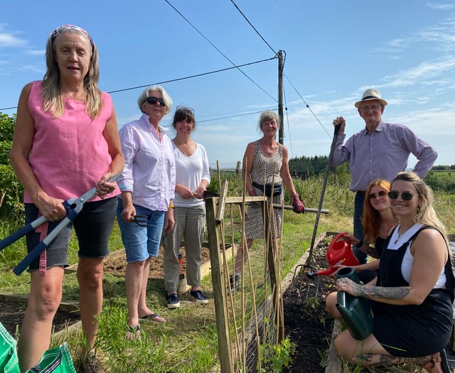 Garden needs more community diggers