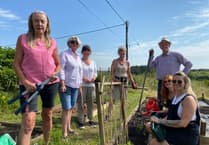 Princetown community garden makes national shortlist