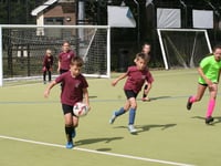 All winners at West Devon primary schools contest