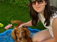 Keeping your dog cool