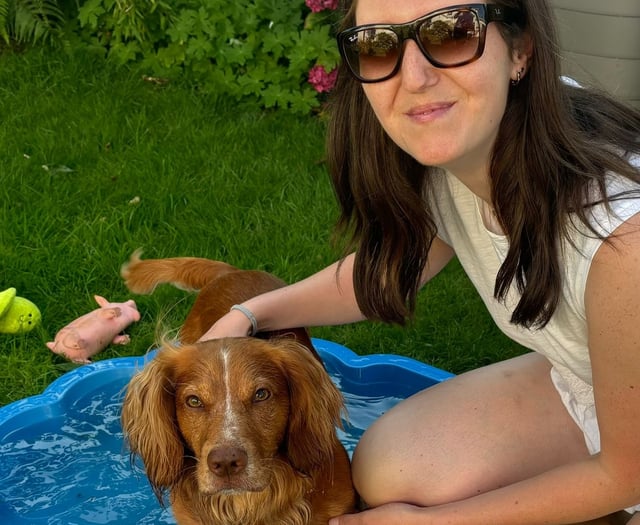 Keeping your dog cool