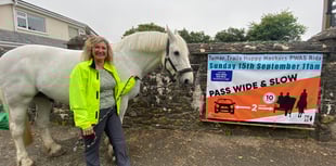 Man charged after collision in which child horse rider injured