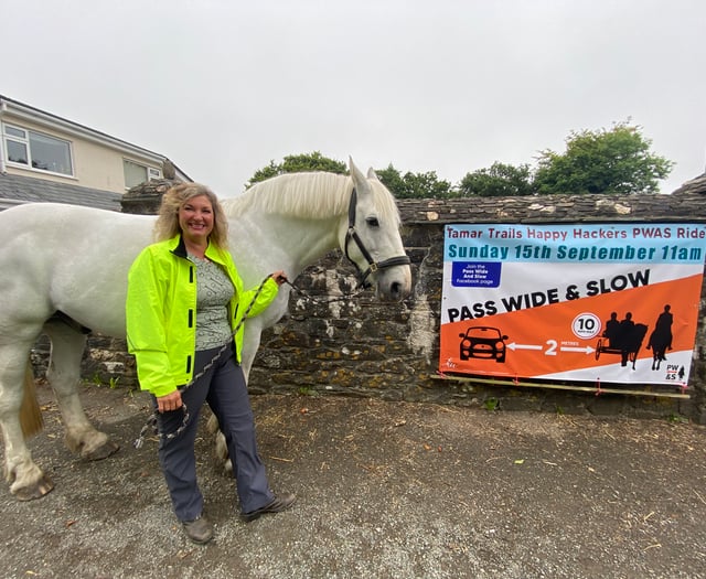 Horse rider urges safer driving