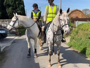 Horse riders' driver safety plea