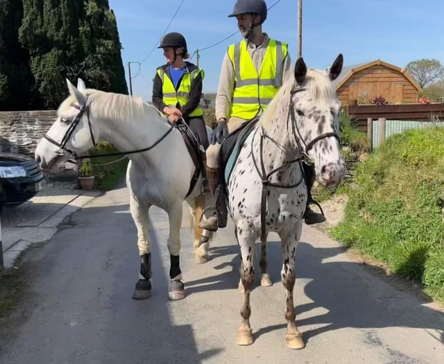 Horse riders' driver safety plea