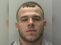 Two young men plead guilty to affray