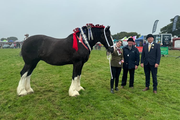 The Heavy Horse Champion.