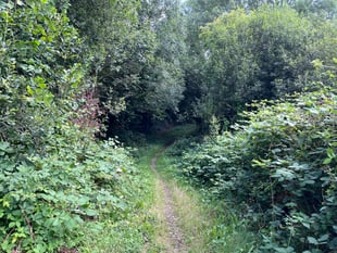 Hog's Wood housing meeting