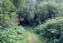 Hog's Wood housing meeting