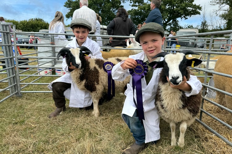 Seth (10) and Leo Davis (8) from Chagford exhibited Seth’s home-bred Jacob sheep in the young handler and native ewe lamb class.  AQ 0579