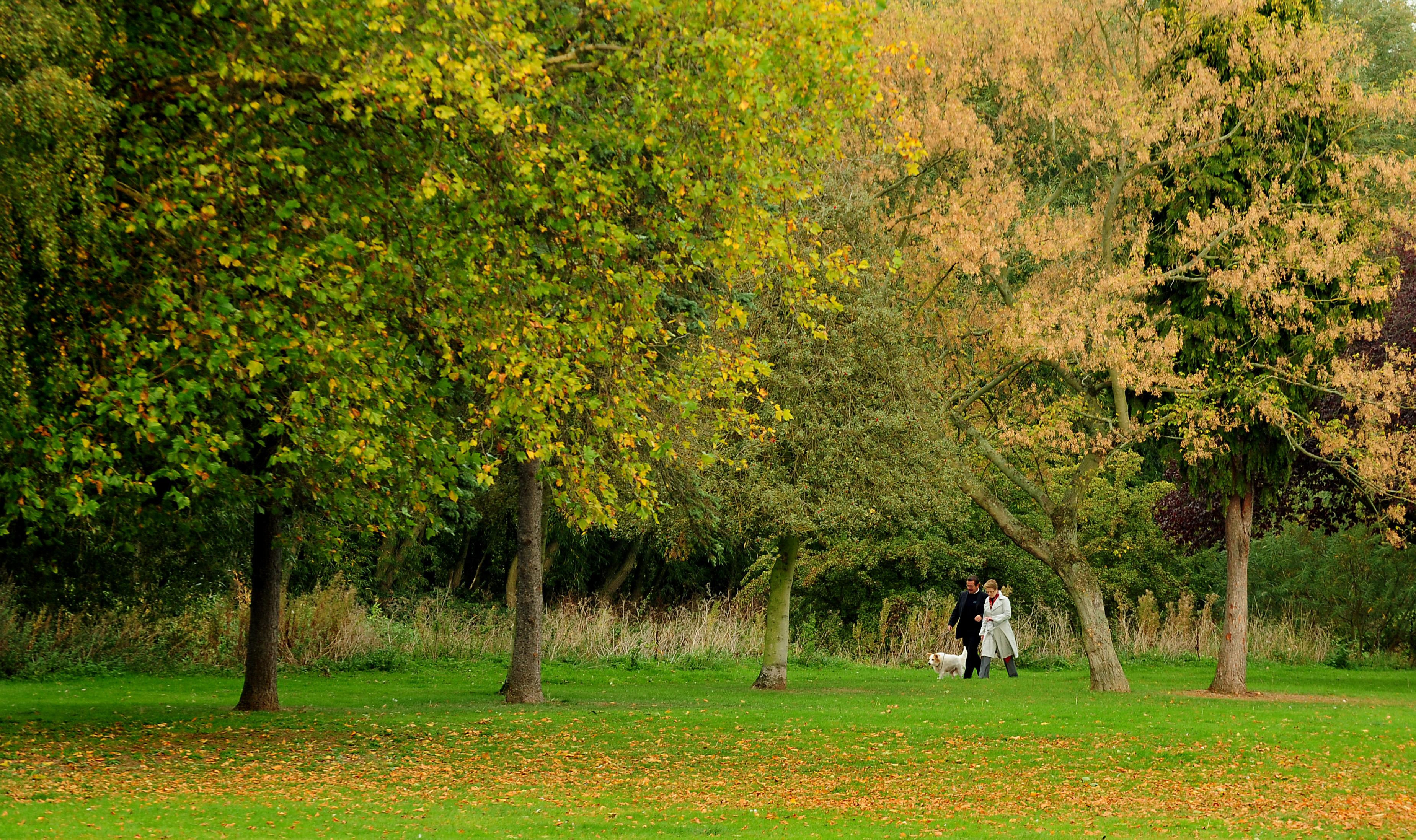 Access to green space in West Devon lower than South West average