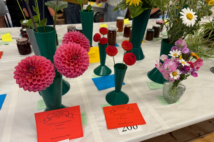 Some of the exhibits on display.  AQ 1112