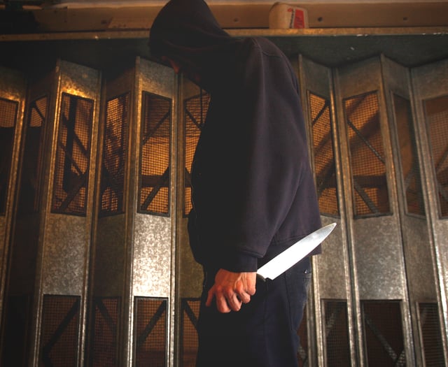 Police seize knives in awareness campaign