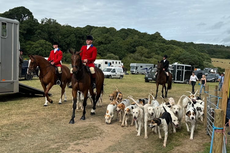 The Mid Devon Foxhounds about to enter the main ring at Chagford Show.  AQ 0820
