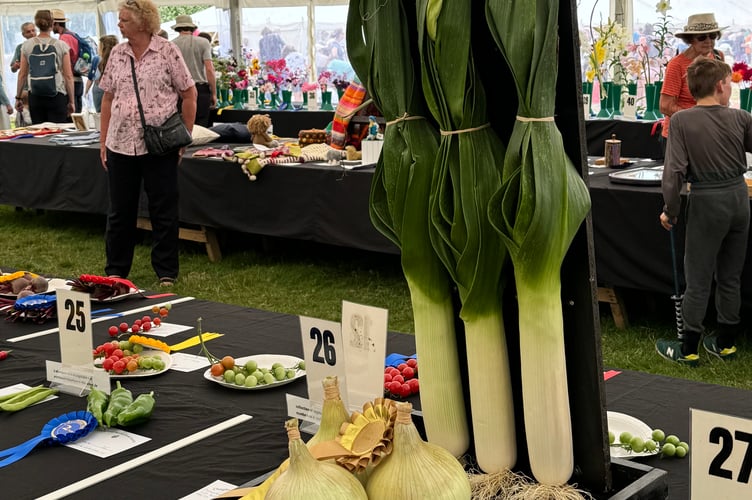 The collection of vegetables by David Hoare from North Tawton was again an outstanding and impressive winner.  AQ 0652
