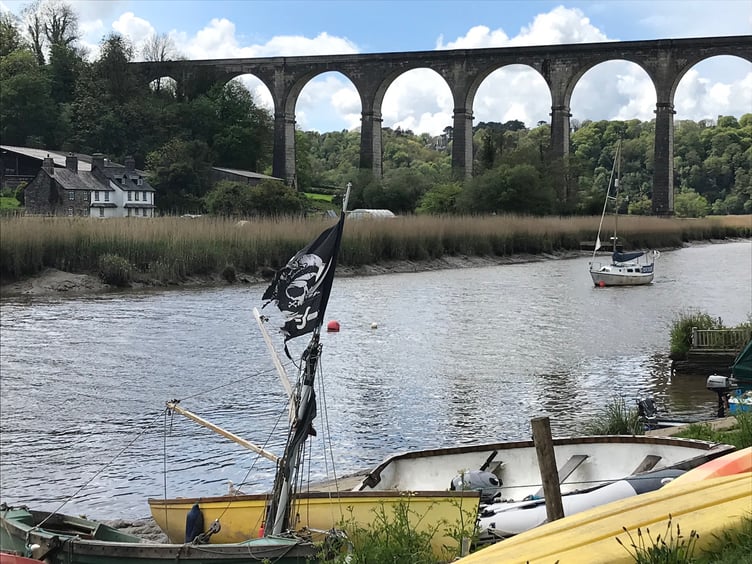 There is a problem with biting flies in Calstock