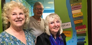 New school library has rainforest theme
