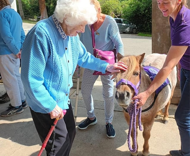 Therapy ponies bring joy