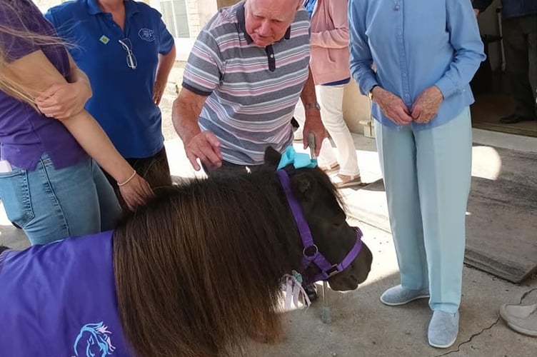 Ted and Ann of Tavistock Memory Cafe with volunteer Jane and pony May.