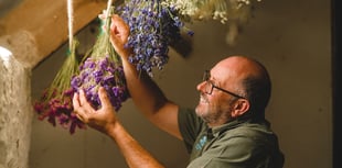 Flowers picked for Cotehele Christmas garland