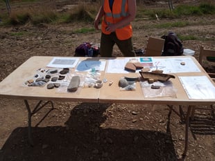 Winkleigh housing development hosts archaeology open day