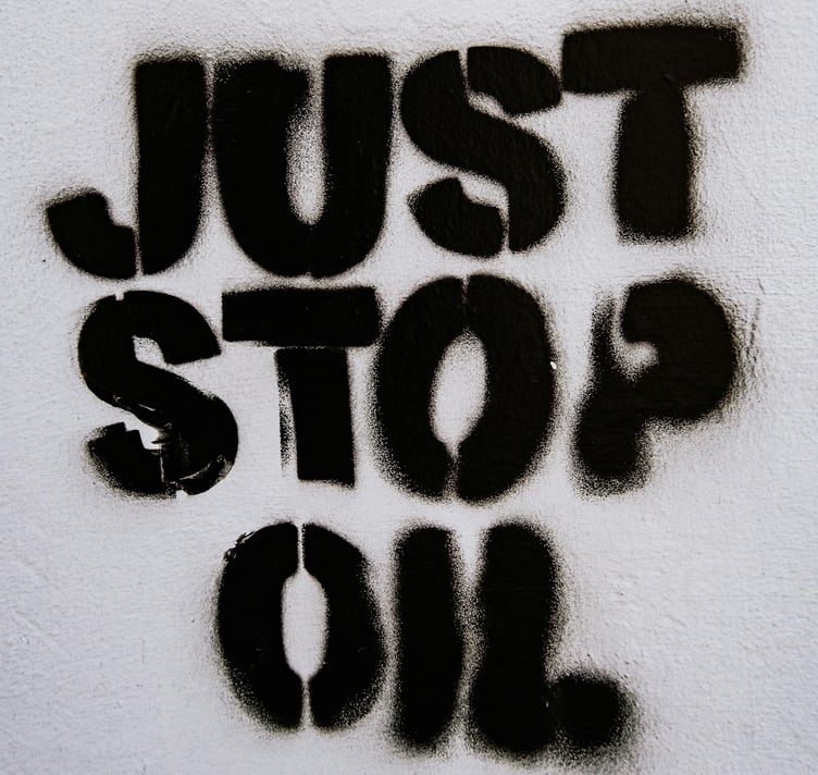 Just Stop Oil protester Lucia Whitaker de Abreu languishes in jail for pointing out the truth, says columnist John Howells. Picture: Samuel Regan Asante/Unsplash